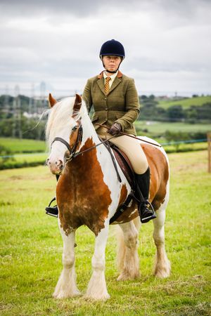horse and human at show
