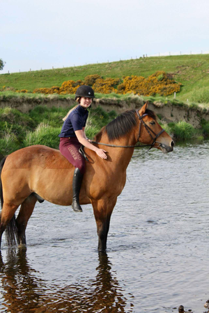 human and horse standing in river