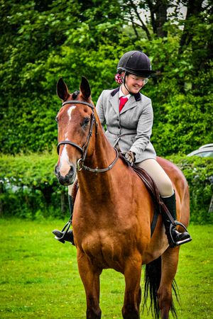 horse and human at show