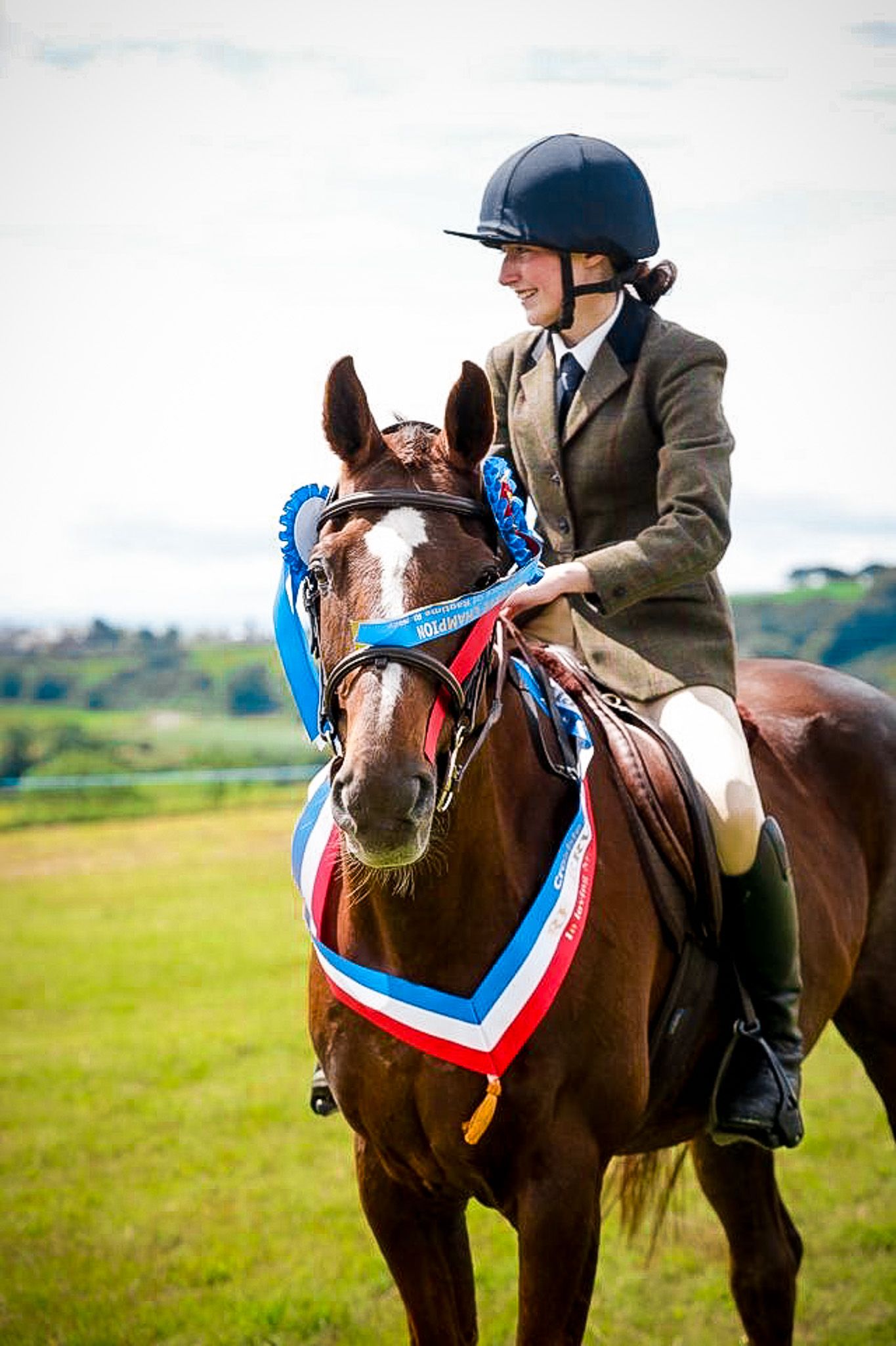 1st please horse and human at show
