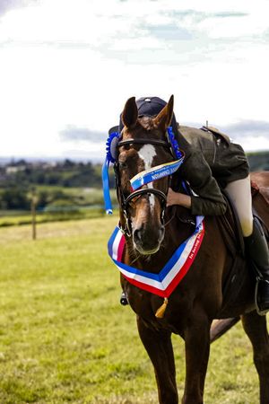 1st please horse and human at show
