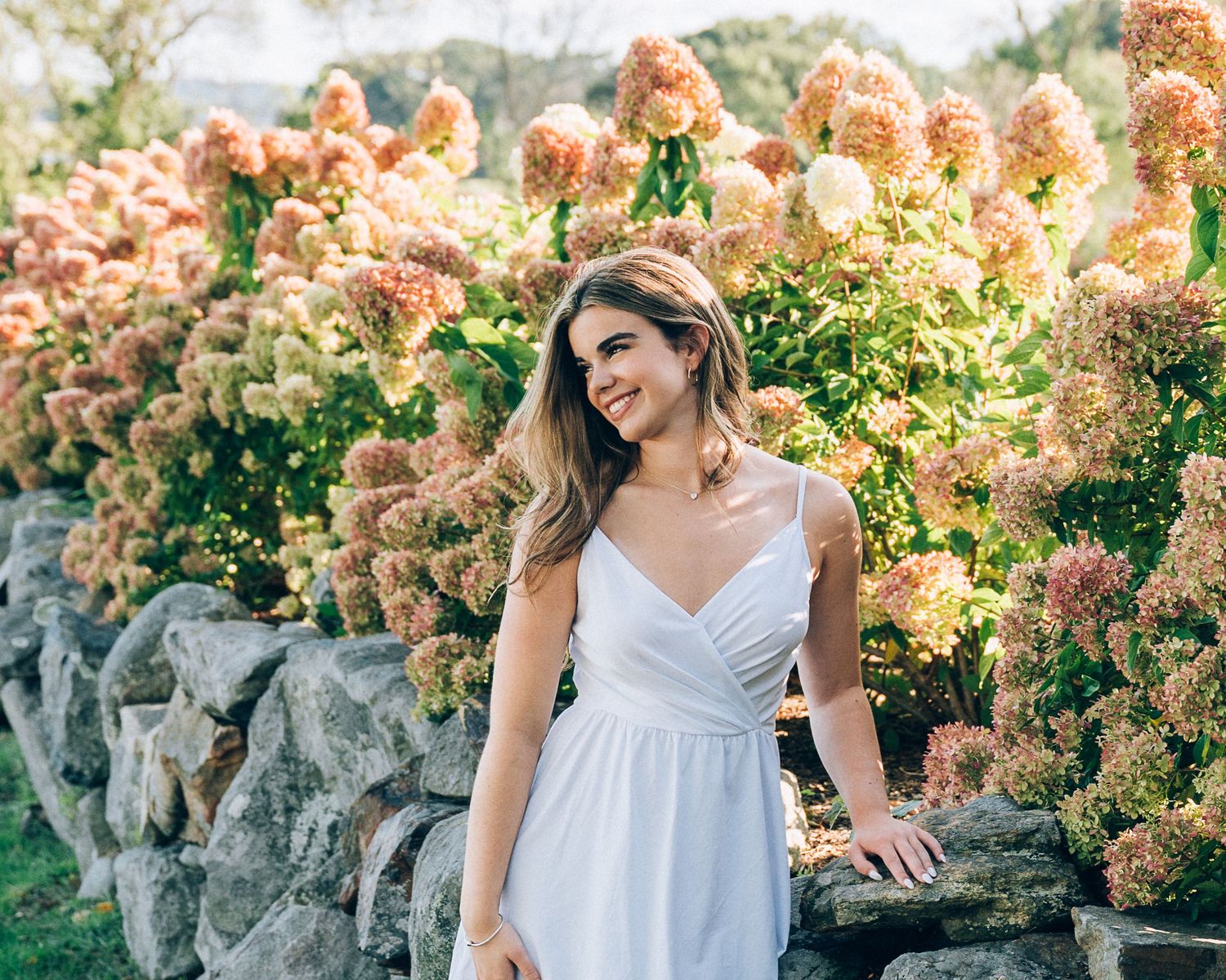 Summer portrait with blooming hydrangeas and stone wall background.