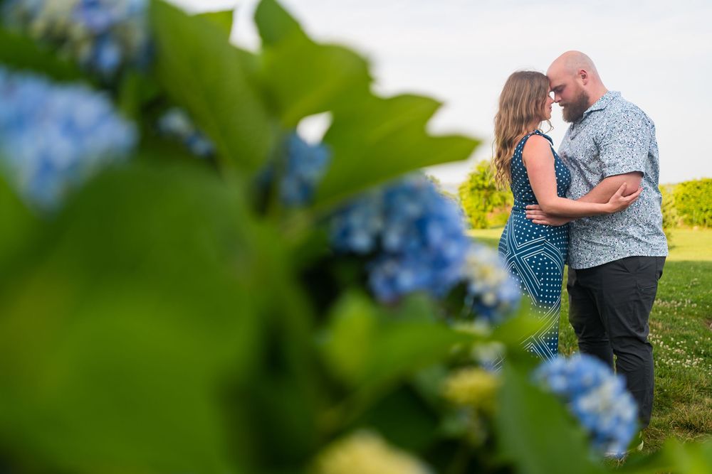 Romantic couple embraces in a blooming field of Texas bluebonnets during a sunny spring engagement session.