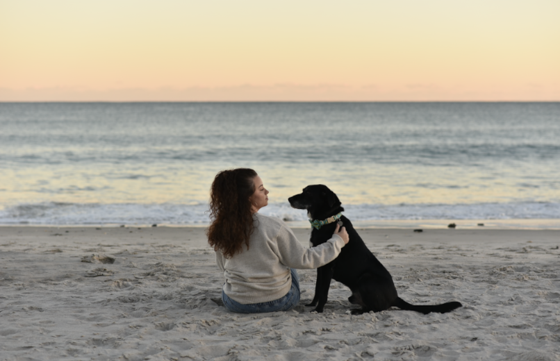Lifestyle, beach, dogs