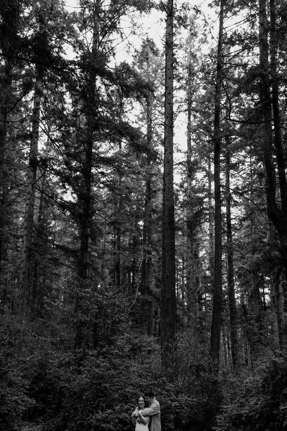 A couple embraces tenderly while standing among tall pine trees in a peaceful forest setting.