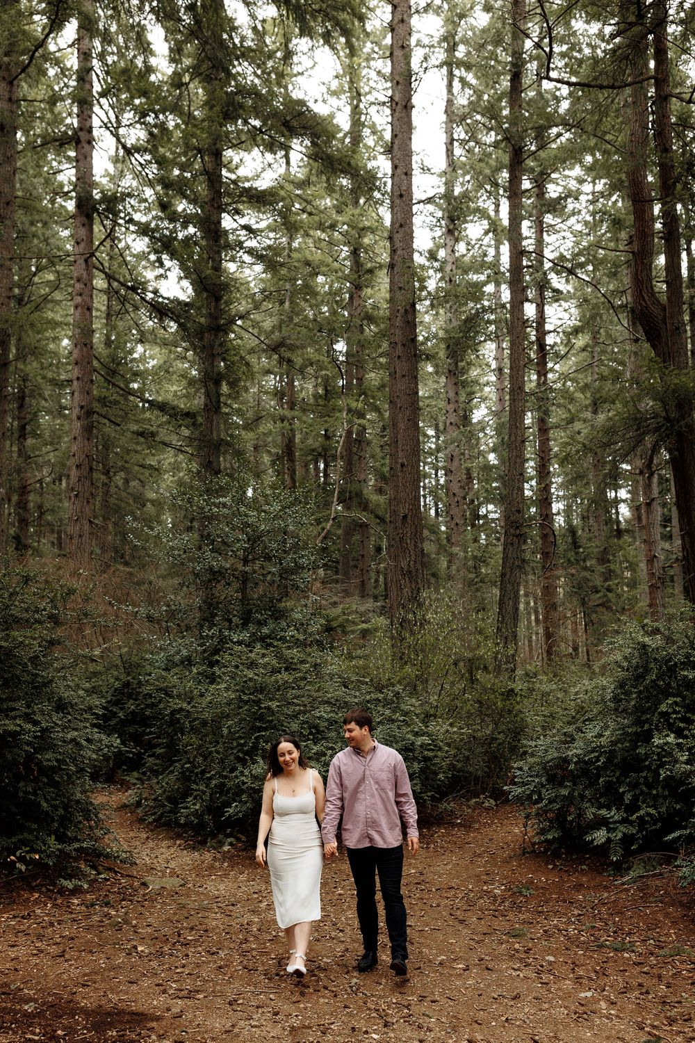 A couple takes a romantic stroll through a towering forest of evergreen trees on a dirt trail.