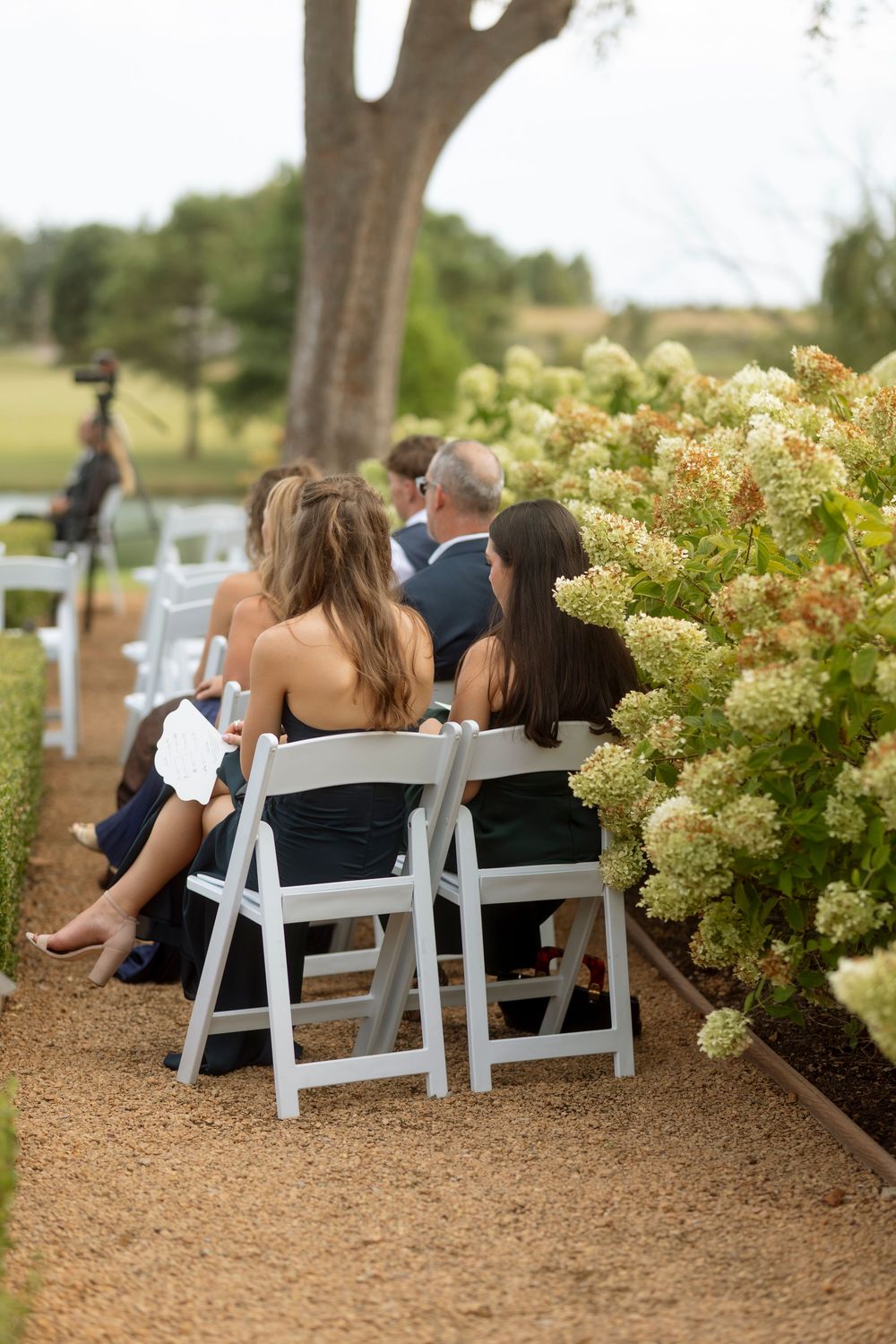 Wedding guests seated in white folding chairs along a rustic outdoor path lined with hydrangea bushes.