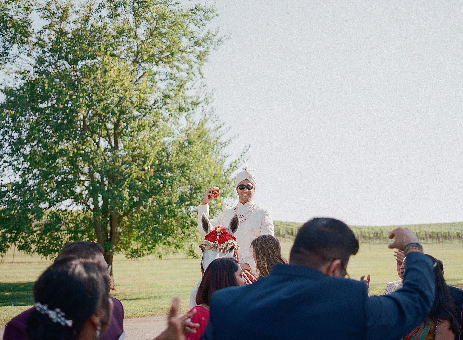 A crowd gathers outdoors near trees to watch someone speaking on a sunny day.