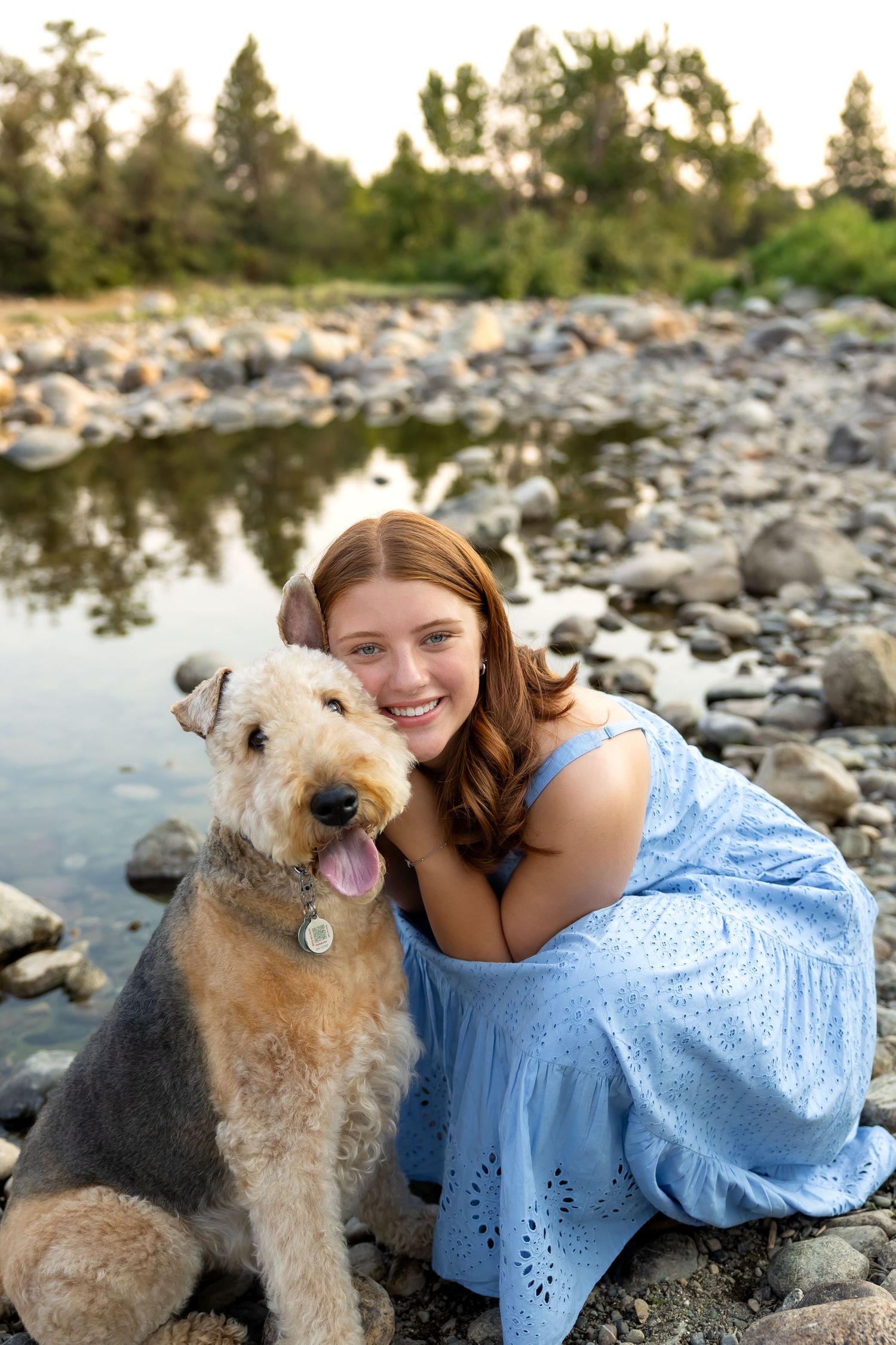 An Airedale Terrier dog poses with its companion by a rocky riverbank at sunset.
