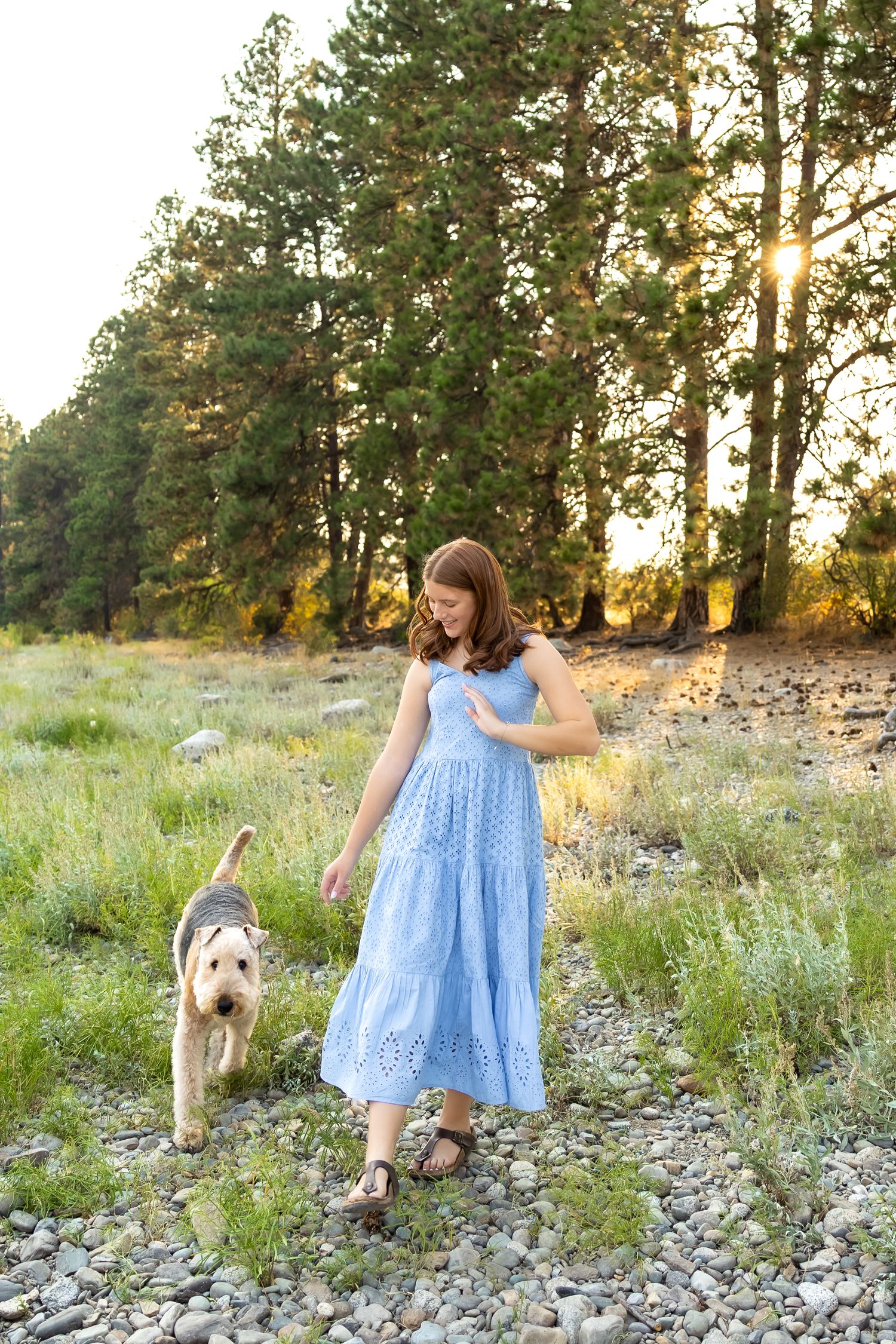 Person in blue dress walks with golden retriever dog on rocky trail during sunset.