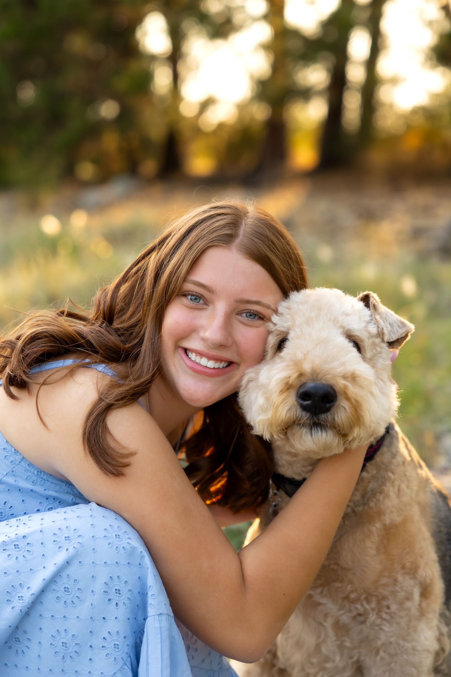 A Wire Fox Terrier dog and someone in a blue dress pose together outdoors during golden hour.