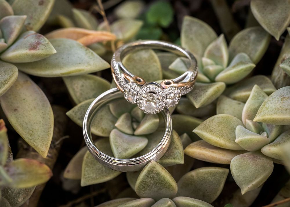 Two elegant wedding rings, one diamond engagement ring and one band, resting on green succulent leaves.