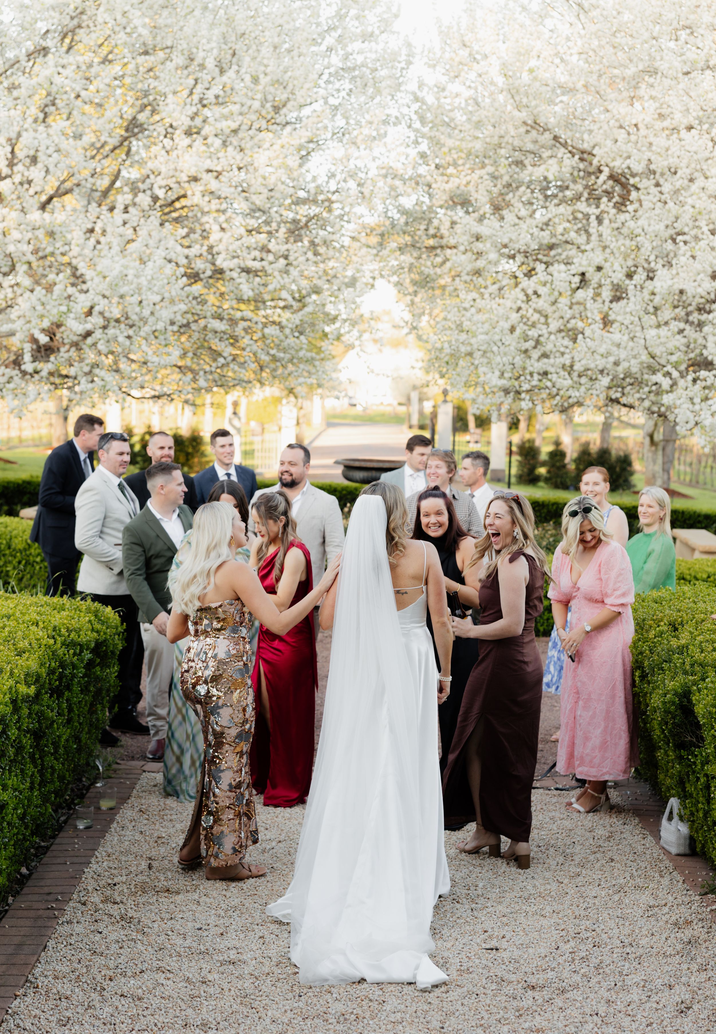 Wedding guests gather under blooming cherry blossom trees during a spring outdoor celebration.