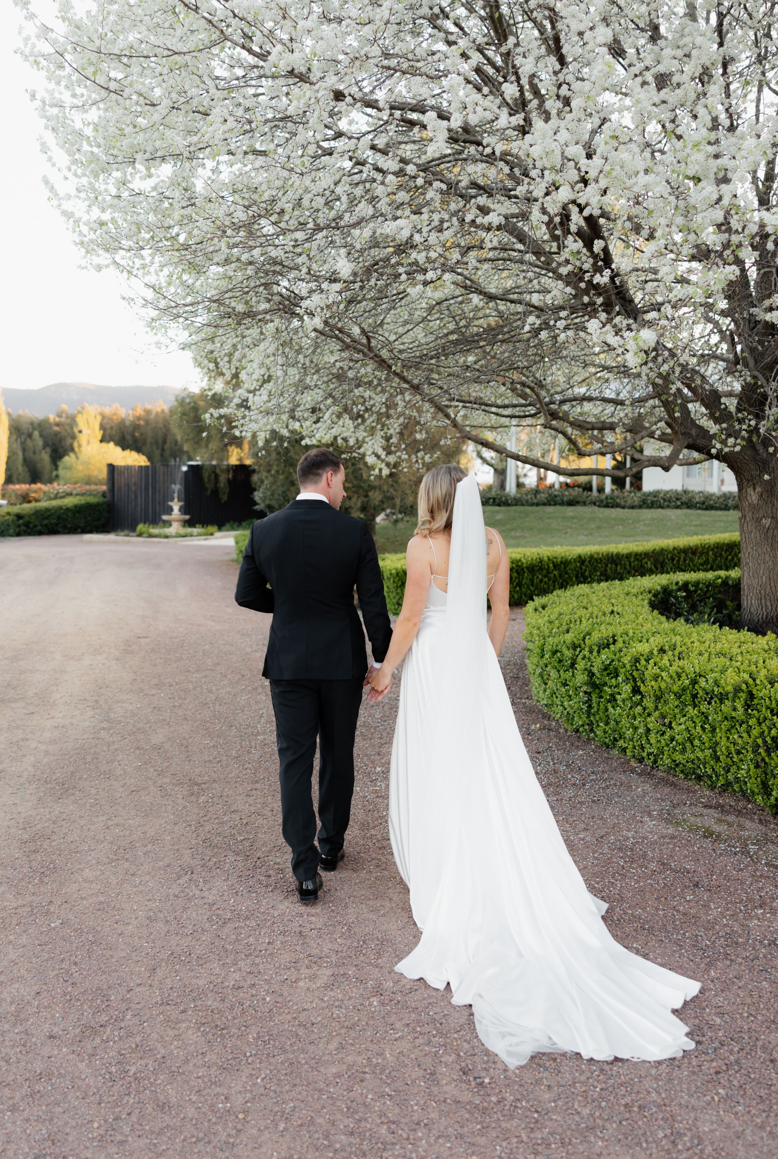 A couple walks away from the camera on a garden path under blooming cherry blossom trees.