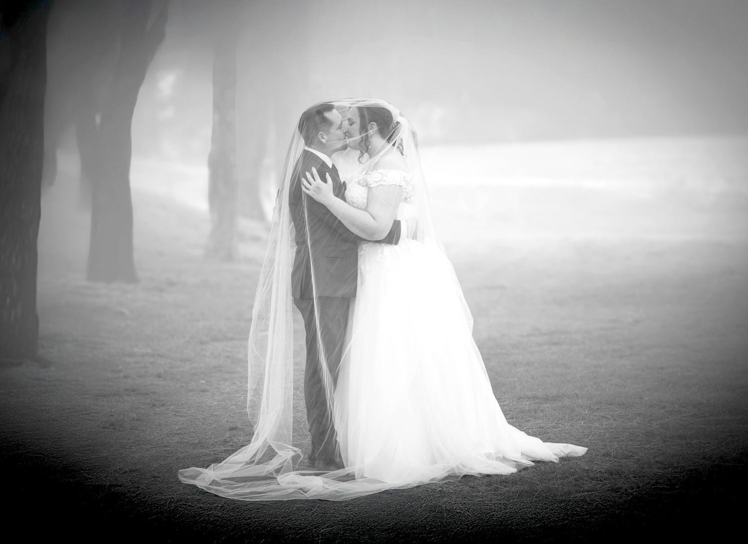 Classic wedding photography of bride and groom portraits at The Grange, NSW captured by Wollongong wedding photographer Serene Coleman.
