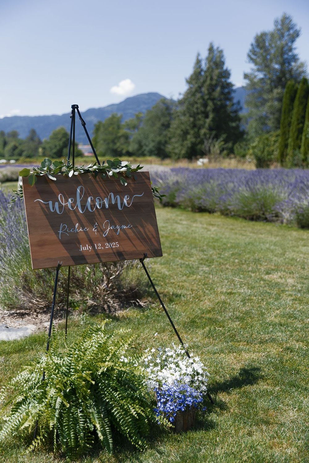 Rustic wooden welcome wedding sign on easel with greenery and blue flowers, lavender field and mountains in background.