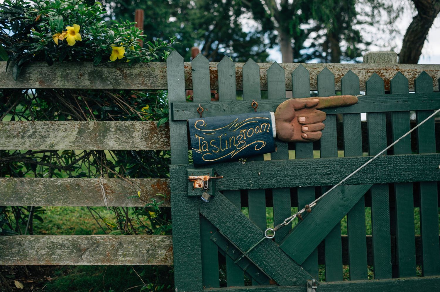 Green wooden fence with decorative details in a garden setting.