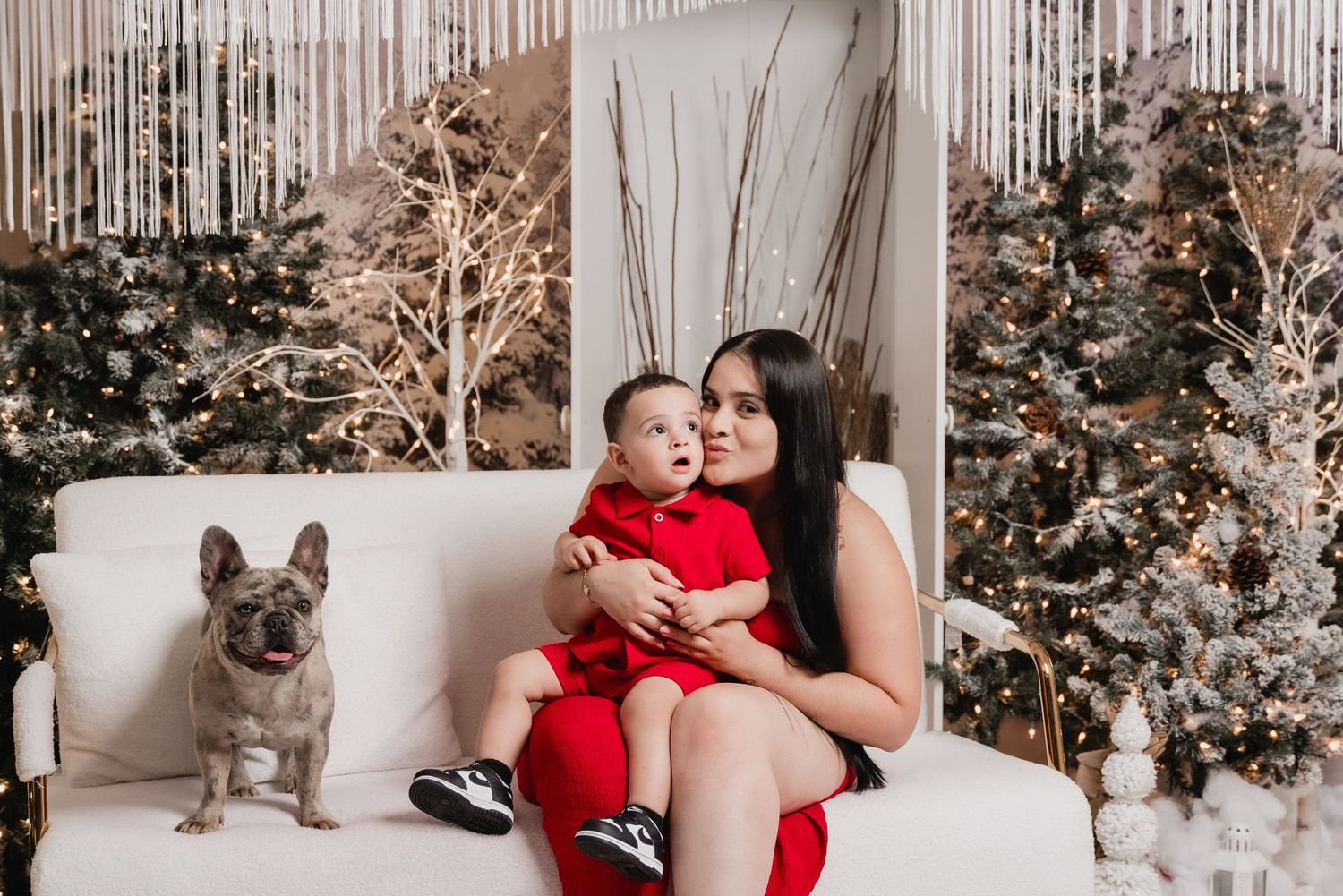 A French Bulldog sits on a white couch near decorated Christmas trees during a holiday photo session.