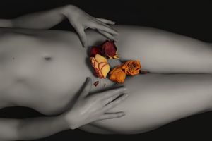 Fine art nude with a painterly effect, blurring the lines between photography and art.