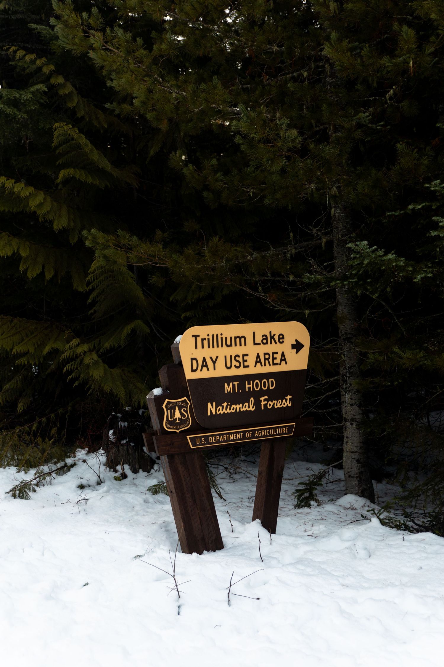Mt Hood National Forest sign for Trillium Lake Day Use Area in snowy winter setting.