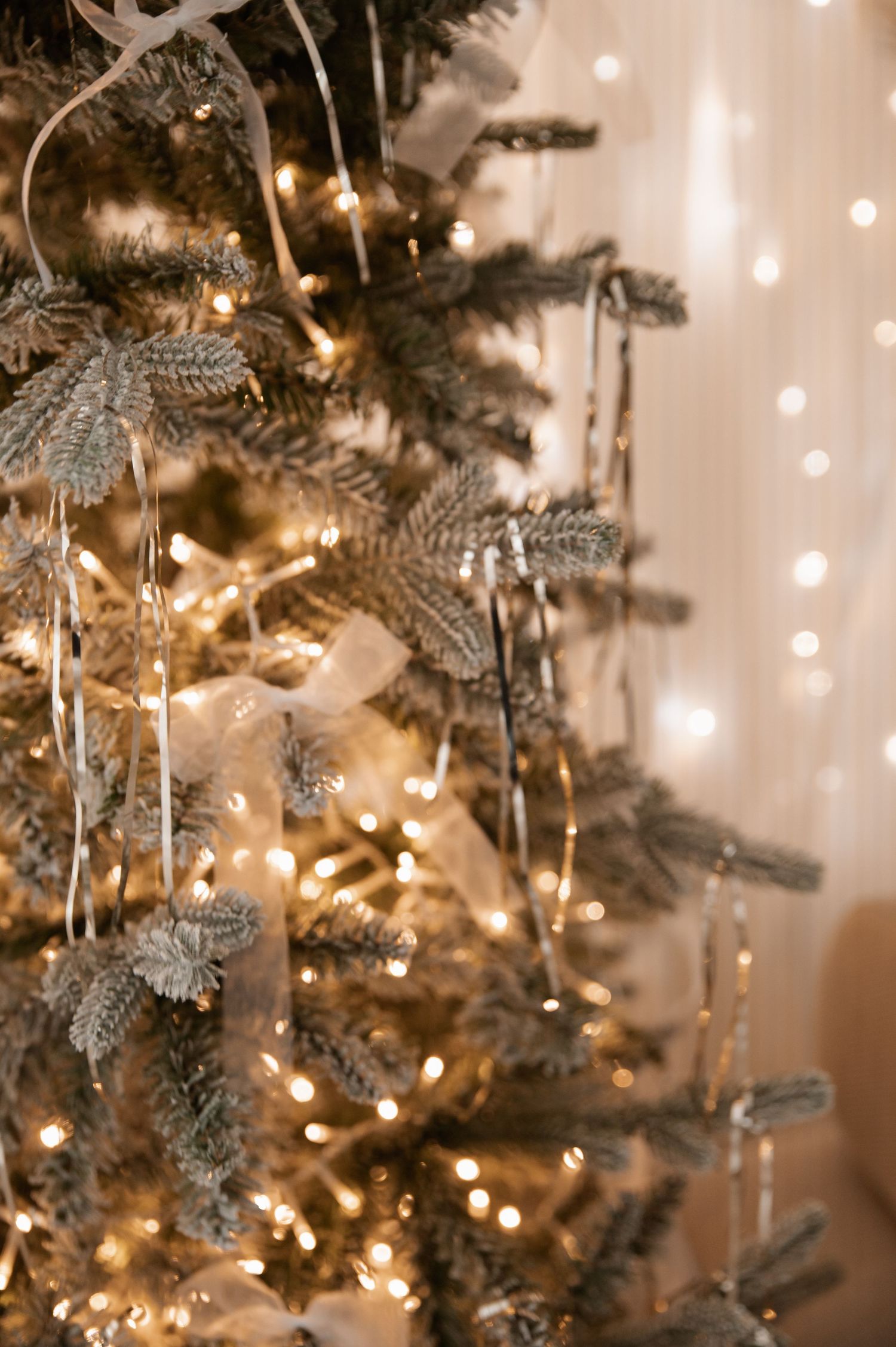 Silver glittery star ornaments and warm white lights decorate an evergreen Christmas tree in a soft, dreamy setting.