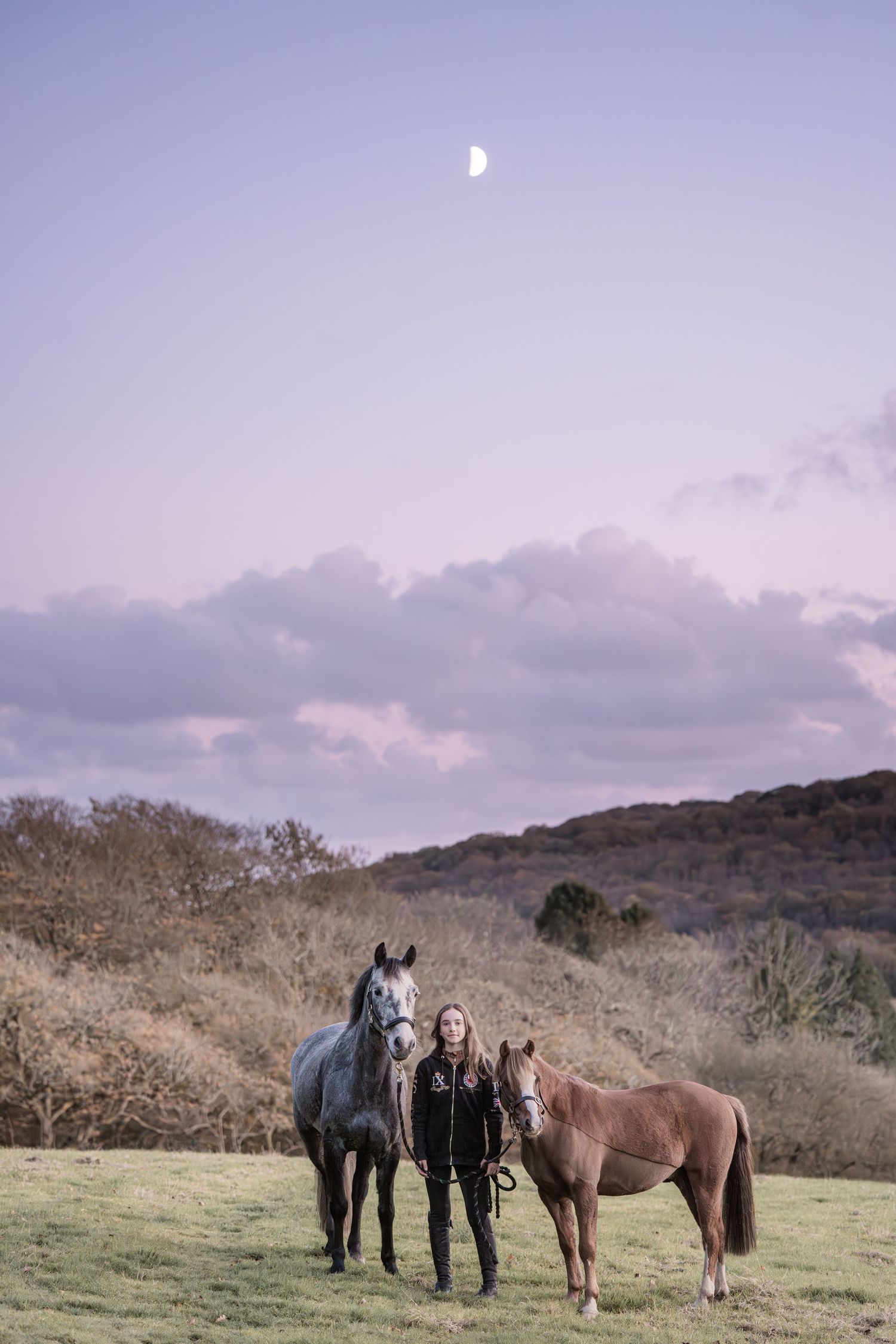 A person stands between two horses in a misty countryside field at dusk with the moon visible in the purple sky.