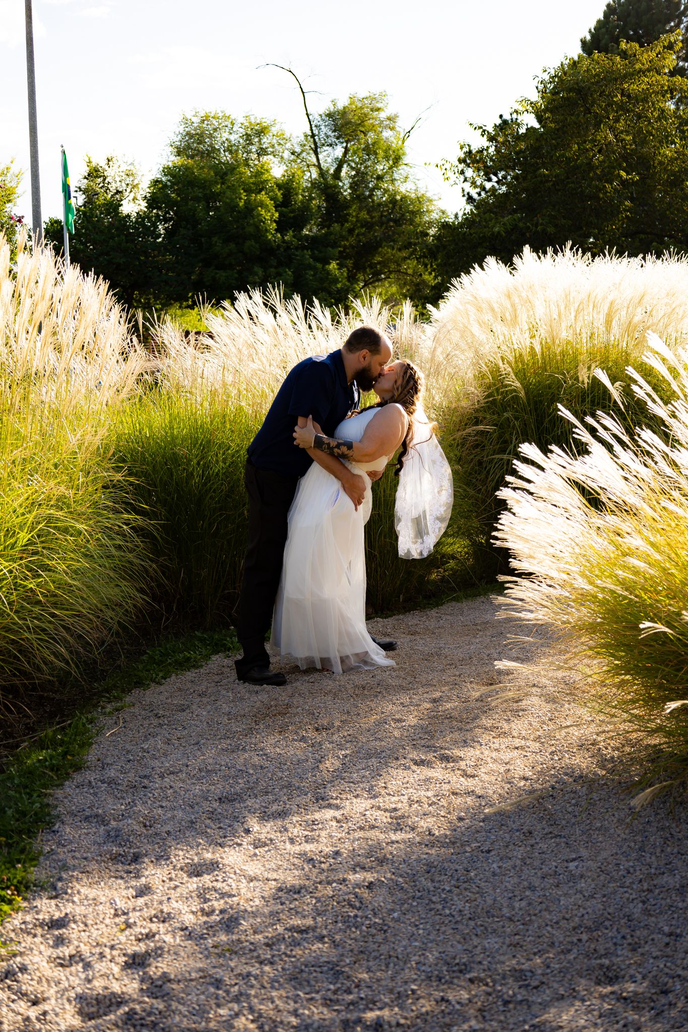 A romantic dip pose captured against ornamental grasses at golden hour.