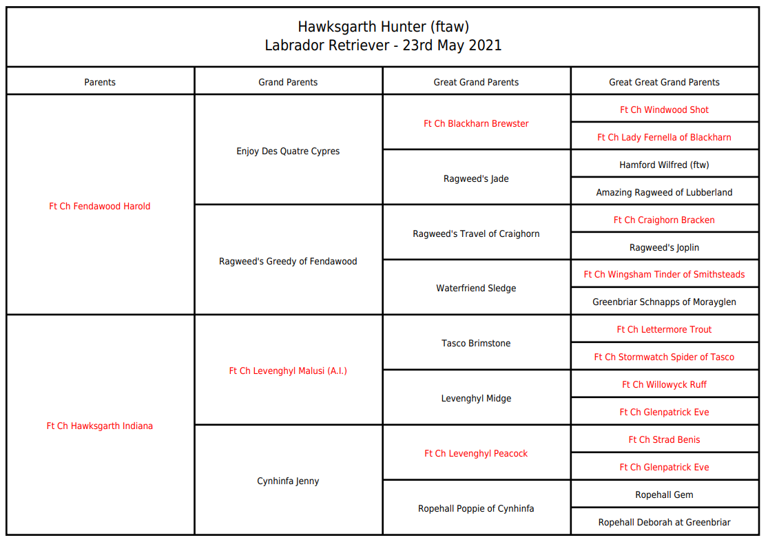 Dog pedigree chart template with empty fields and red text annotations.