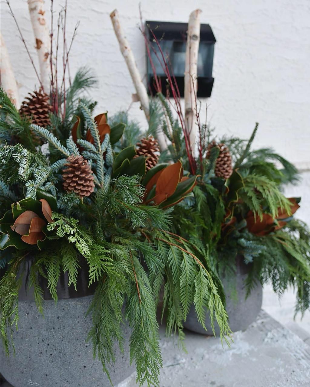 Winter holiday planter with fresh evergreen branches, pinecones, and magnolia leaves arranged beside a wall lantern.