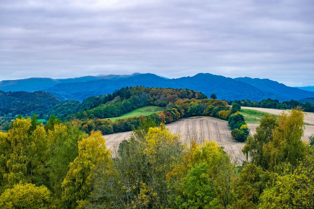 Rolling green hills and mountains stretch across a scenic autumn landscape with vibrant fall foliage.