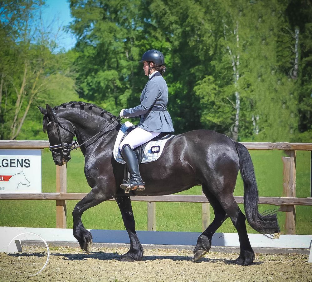 Paardenfotografie
