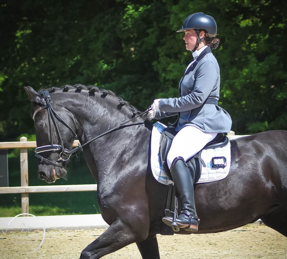 Paardenfotografie