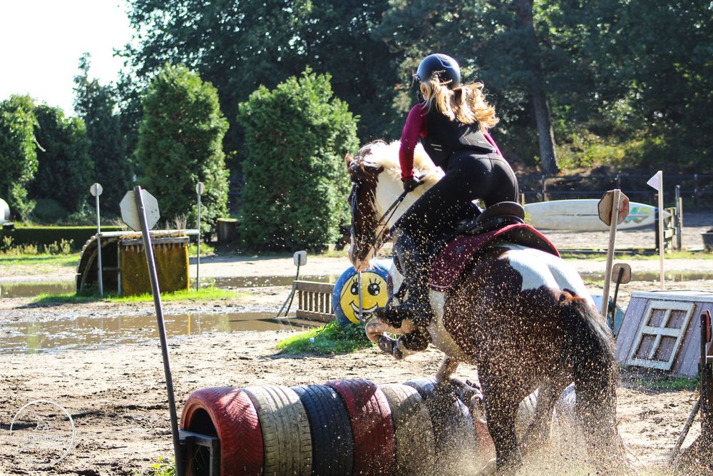 Paardenfotografie