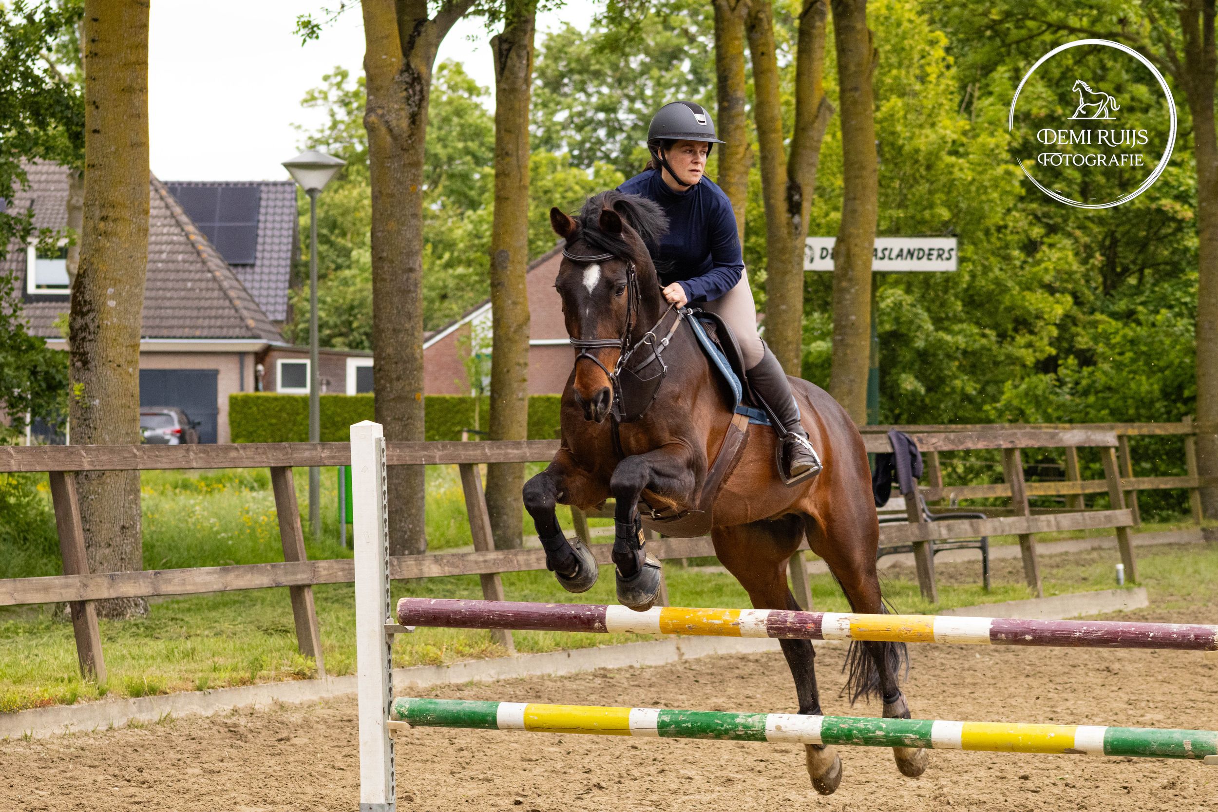 Paardenfotografie