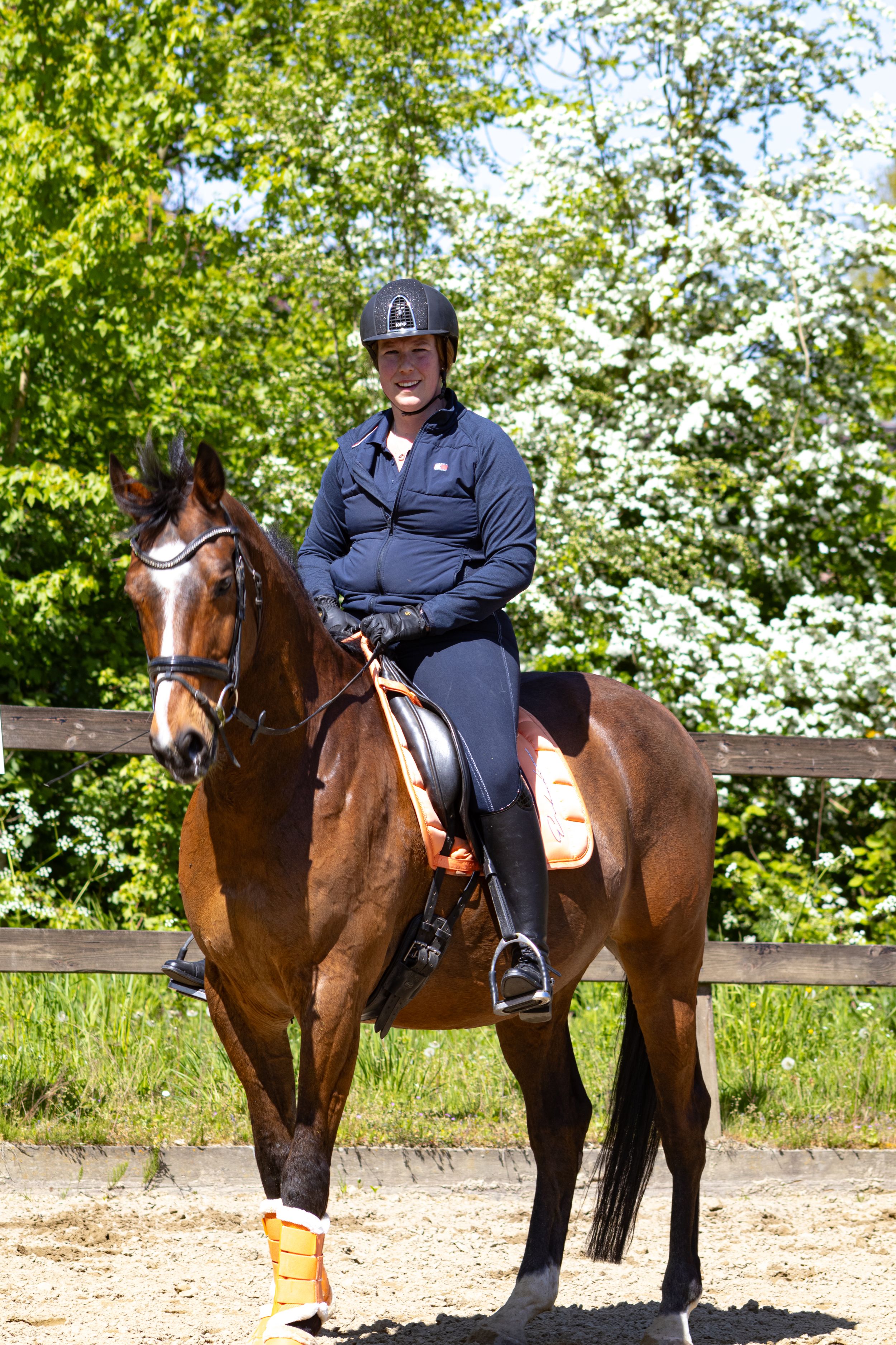 Paardenfotografie