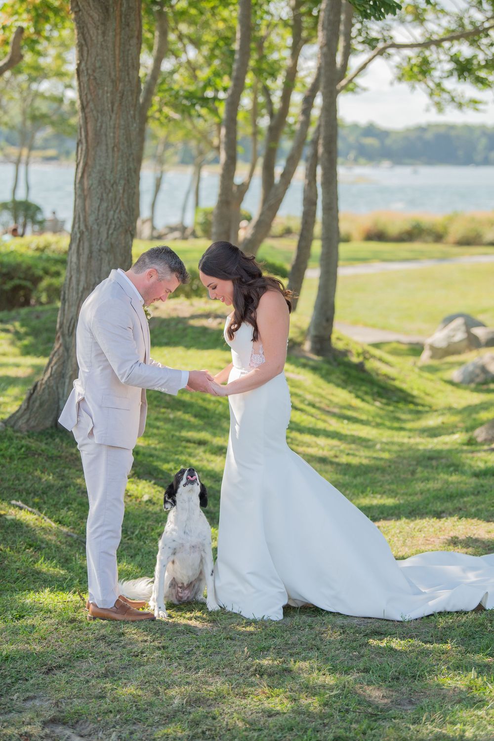 A series of romantic wedding photos showing a couple and their dog in a scenic outdoor waterfront setting.