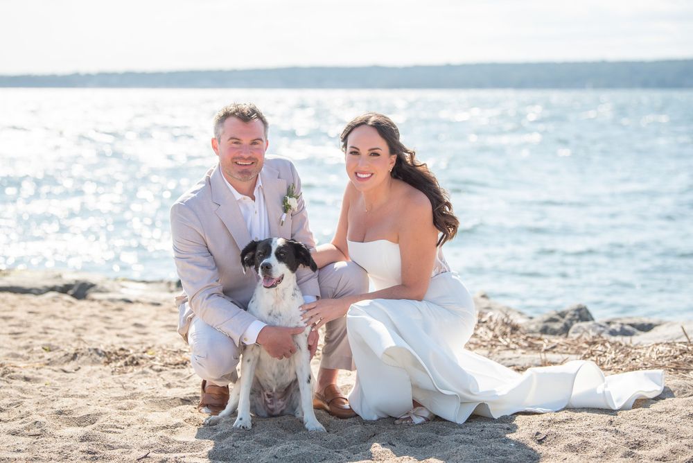 A couple in wedding attire sits on a beach with their small white dog on a sunny day by the ocean.