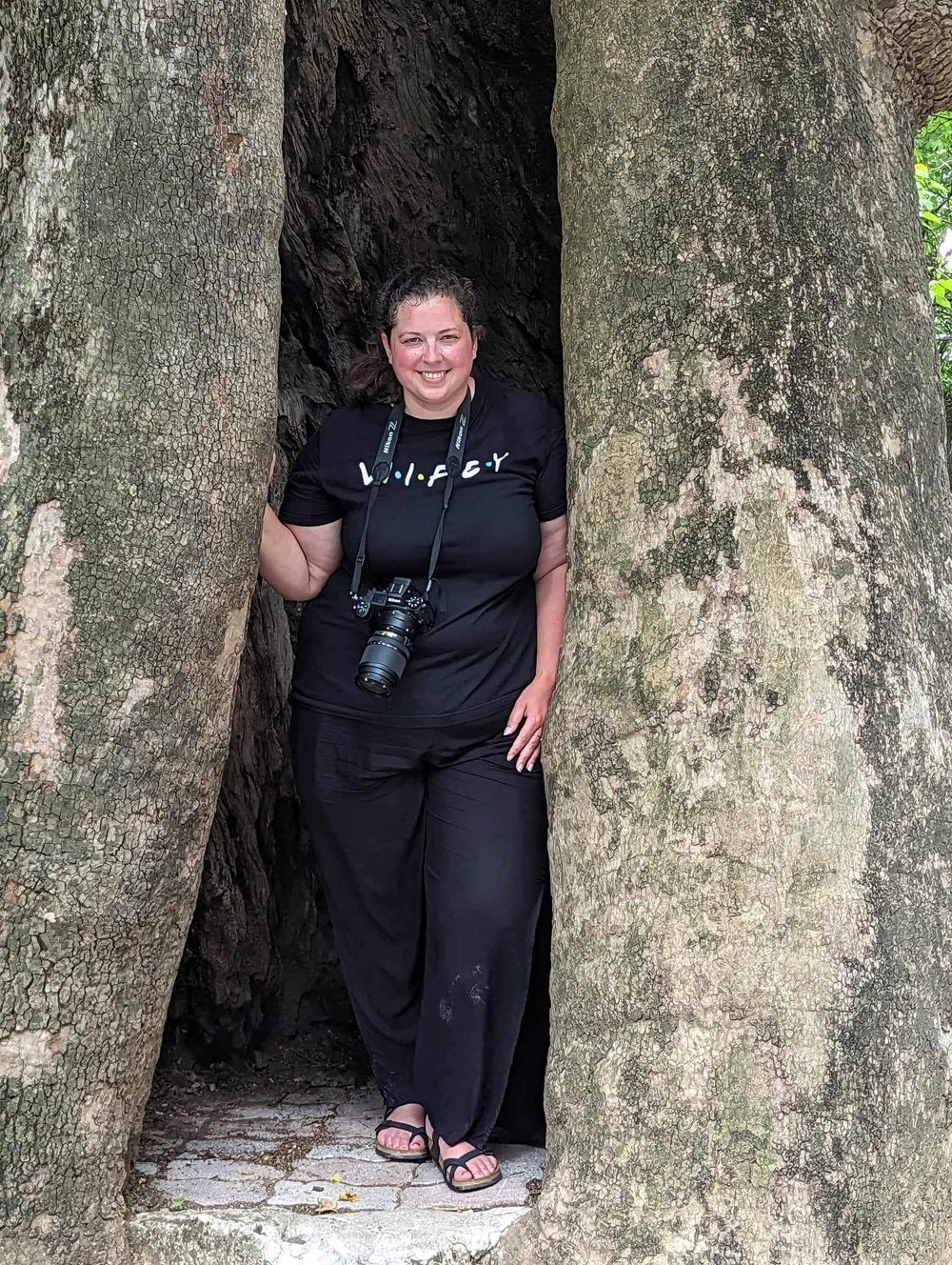 A photographer with camera stands between two massive tree trunks in a natural outdoor setting.