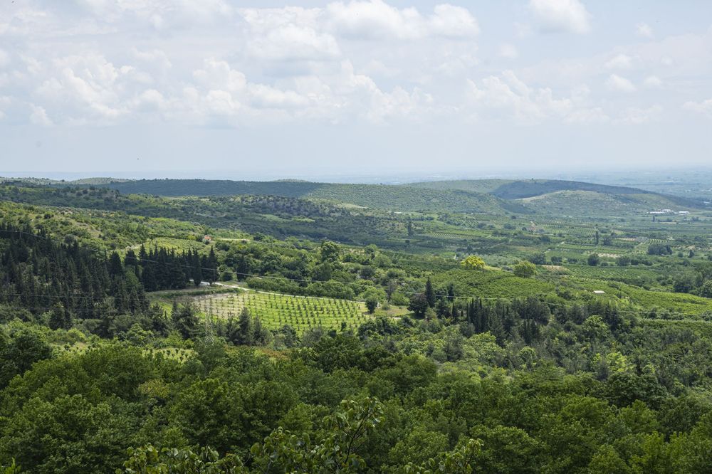 Rolling green hills and forests stretch across a scenic Tuscan landscape with a villa nestled among vineyards in Italy.