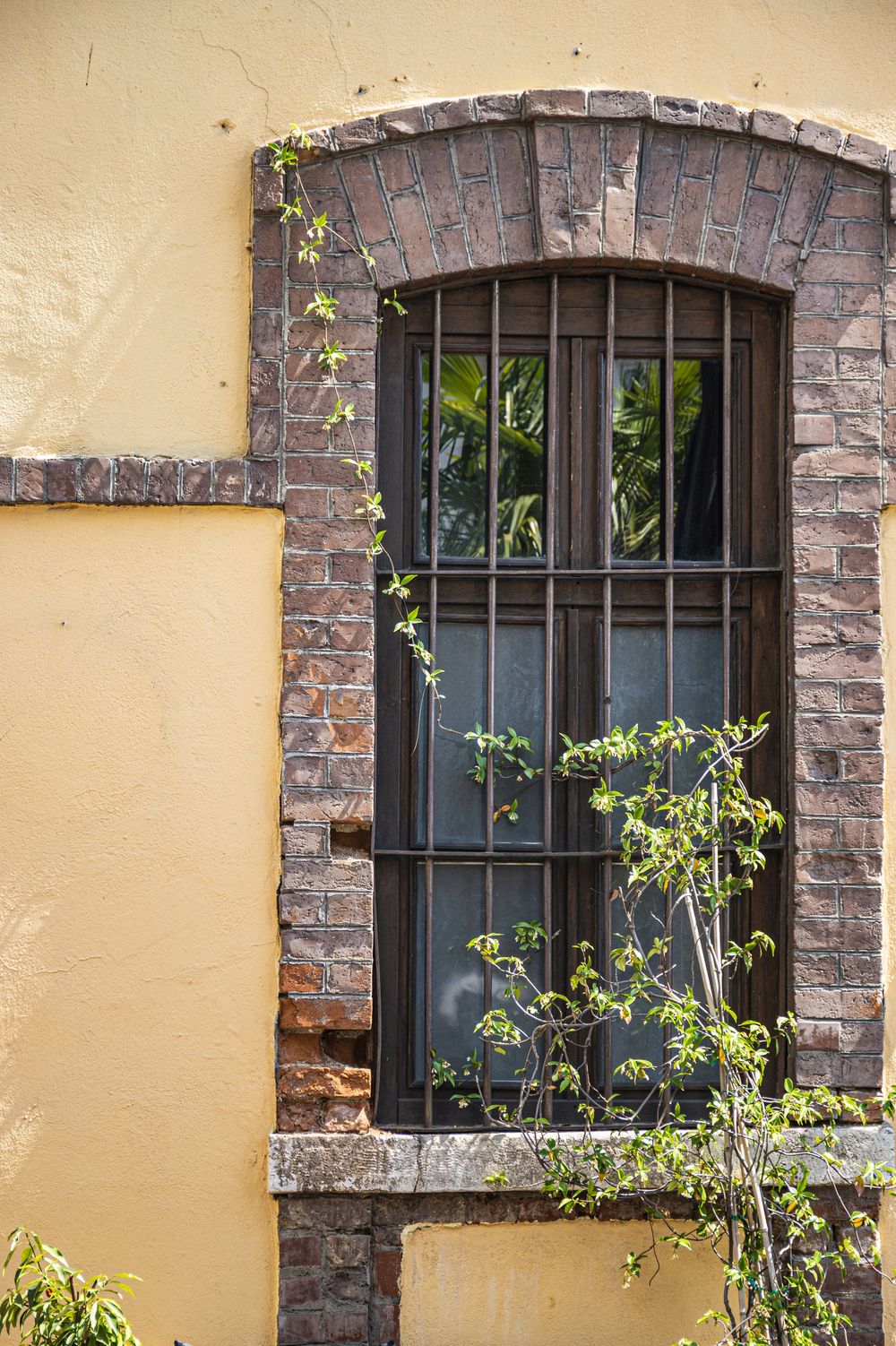 An old brick-framed window with metal bars and climbing vines on a yellow stucco wall.