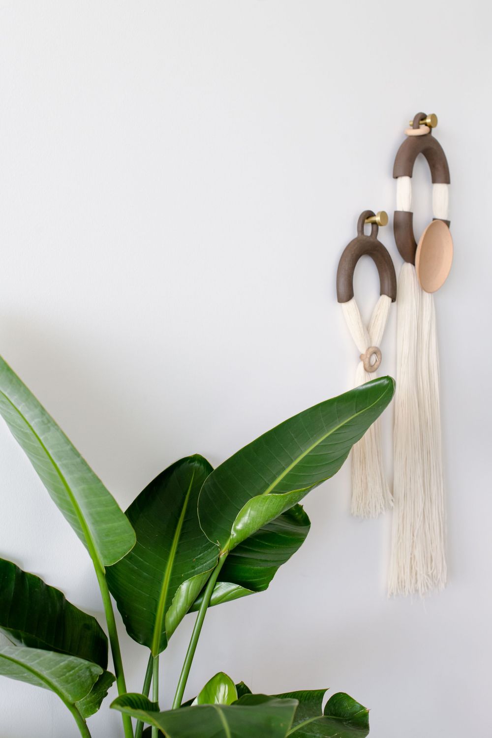 Boho wood and macrame wall hanging with cream fringe beside a tropical bird of paradise plant.