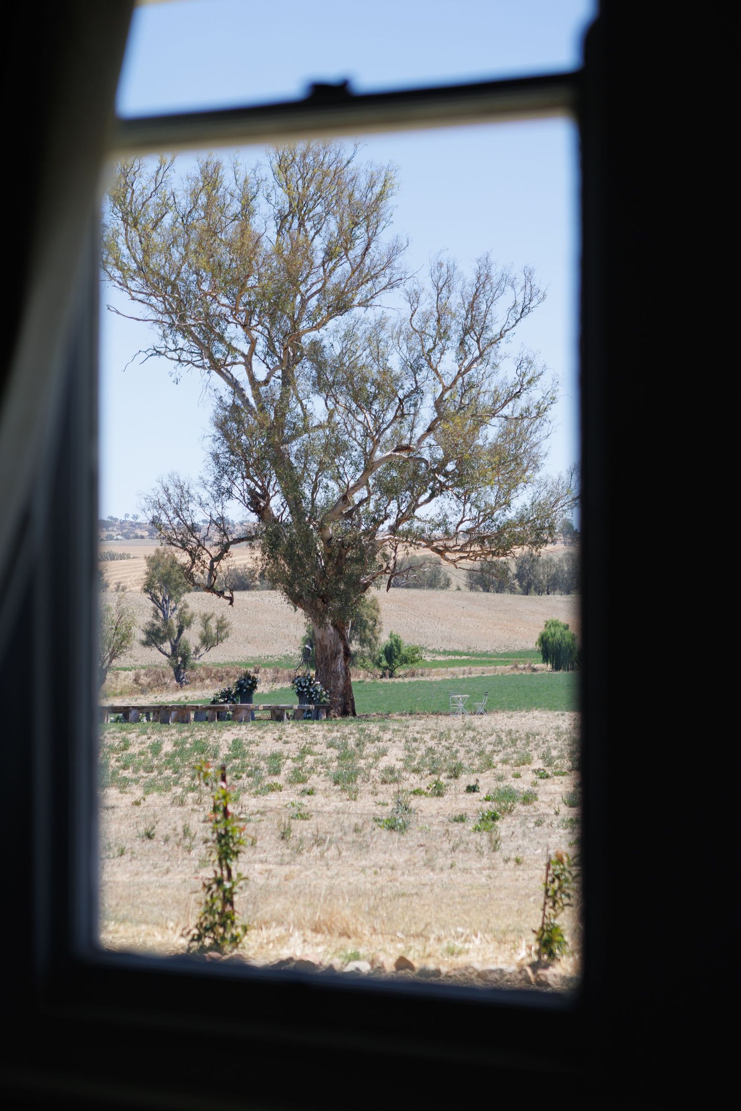 Looking through the window to gumtree where the ceremony location at a country wedding would be
