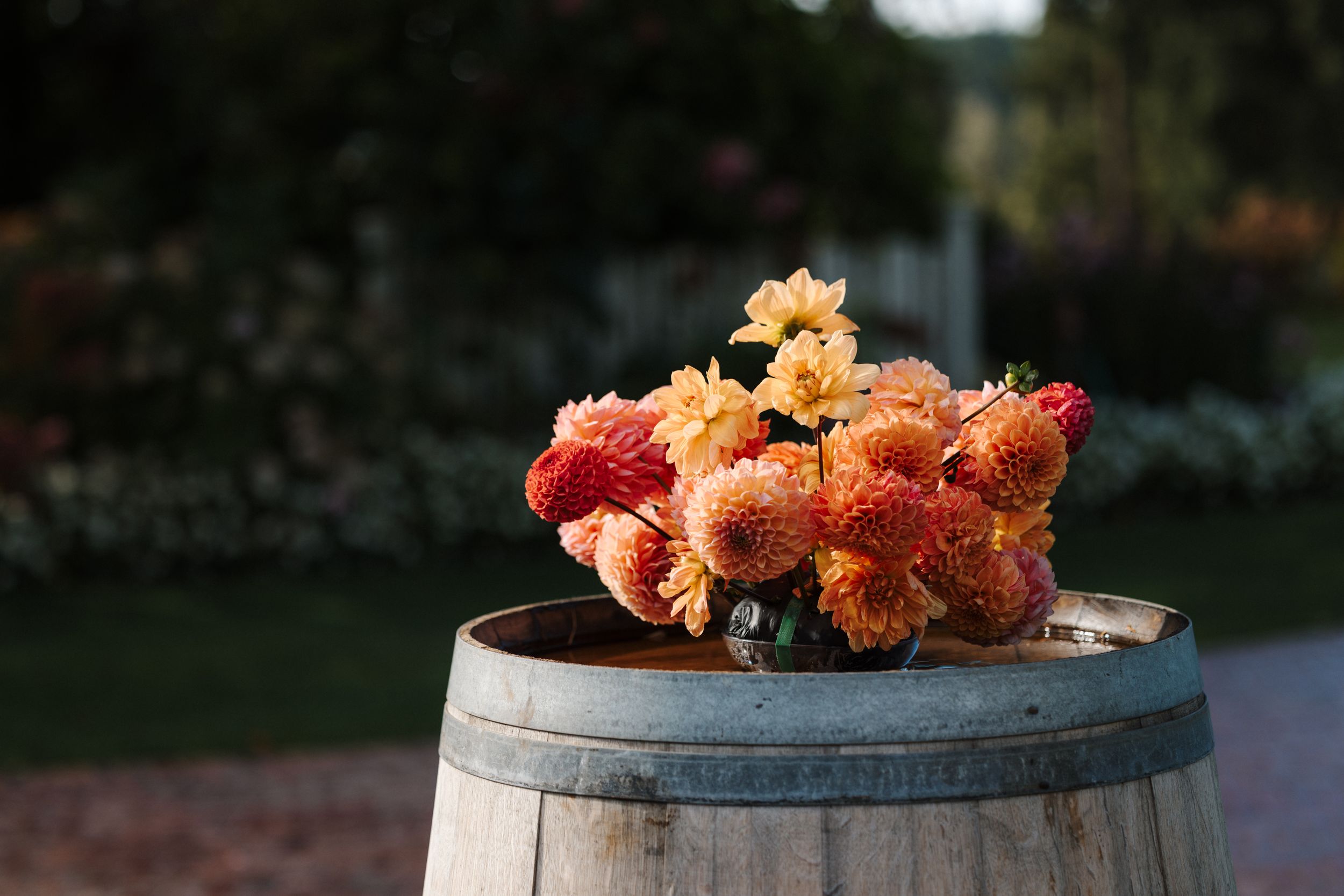 Colorful flowers bloom atop rustic wooden wine barrels arranged in an outdoor garden setting at dusk.