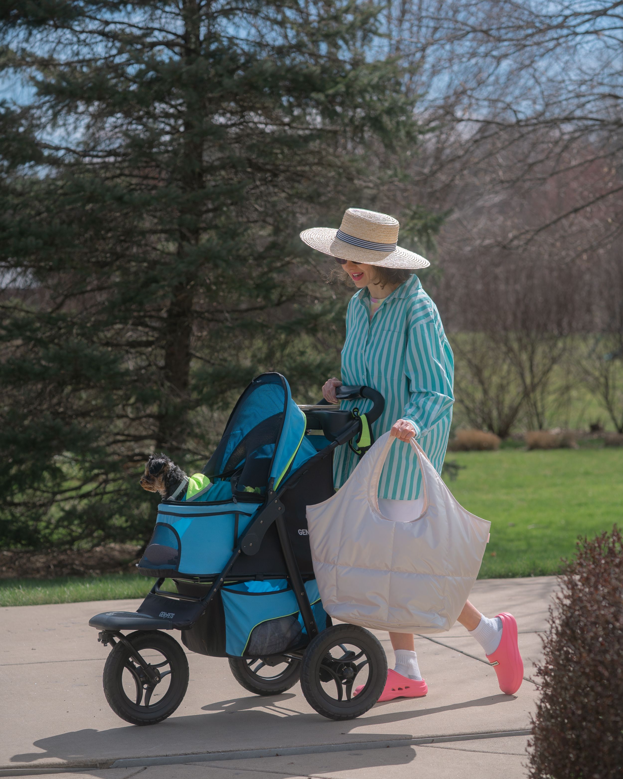 woman pushing a dog stroller