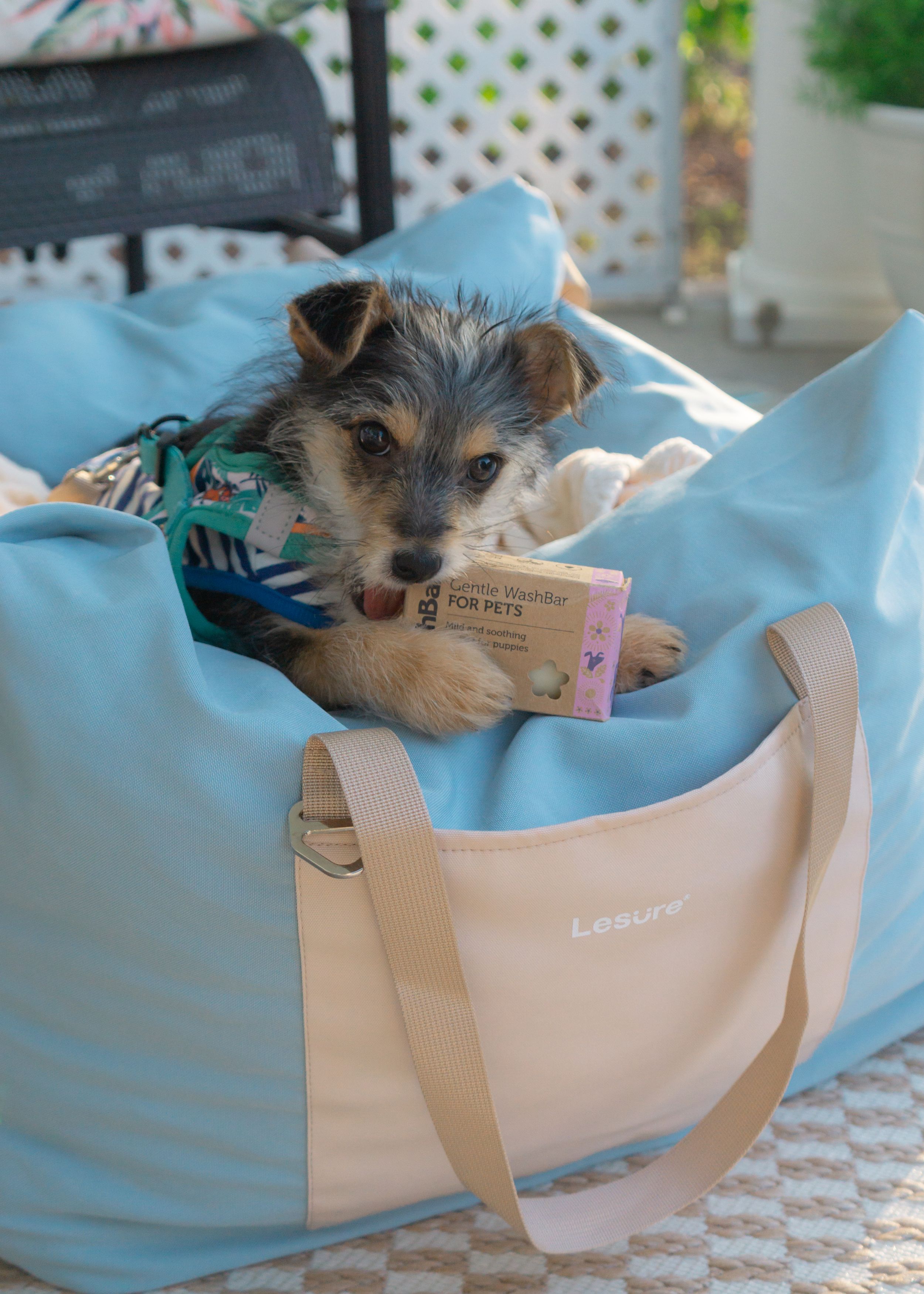 Pet & Product Photography
