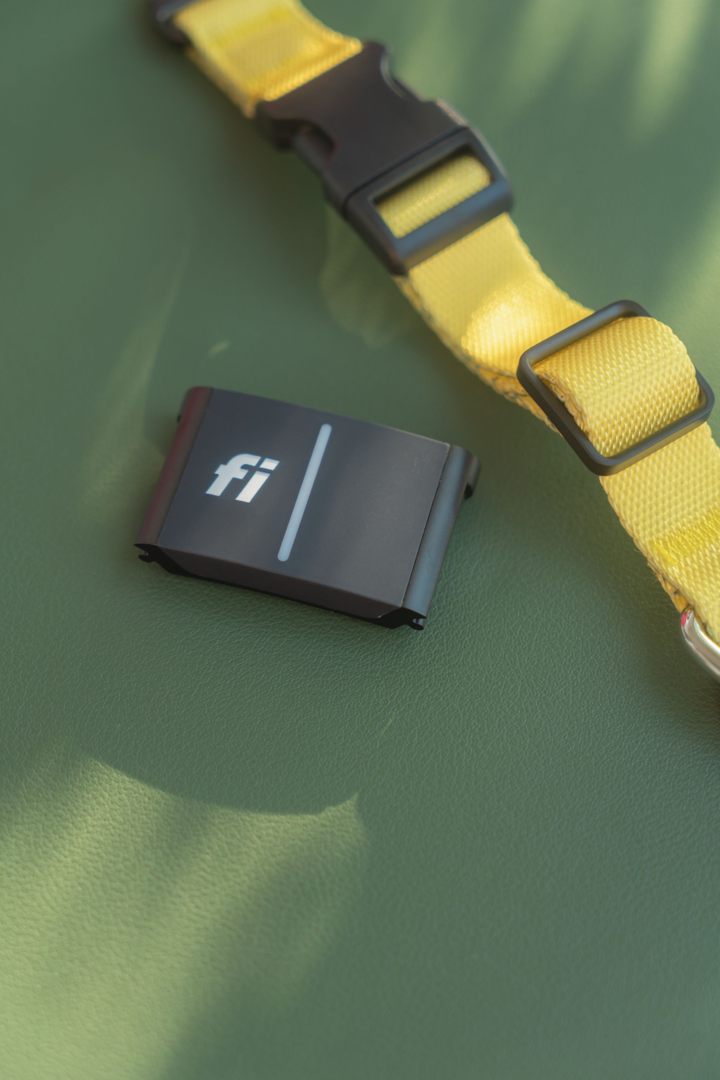 FI Dog Collar