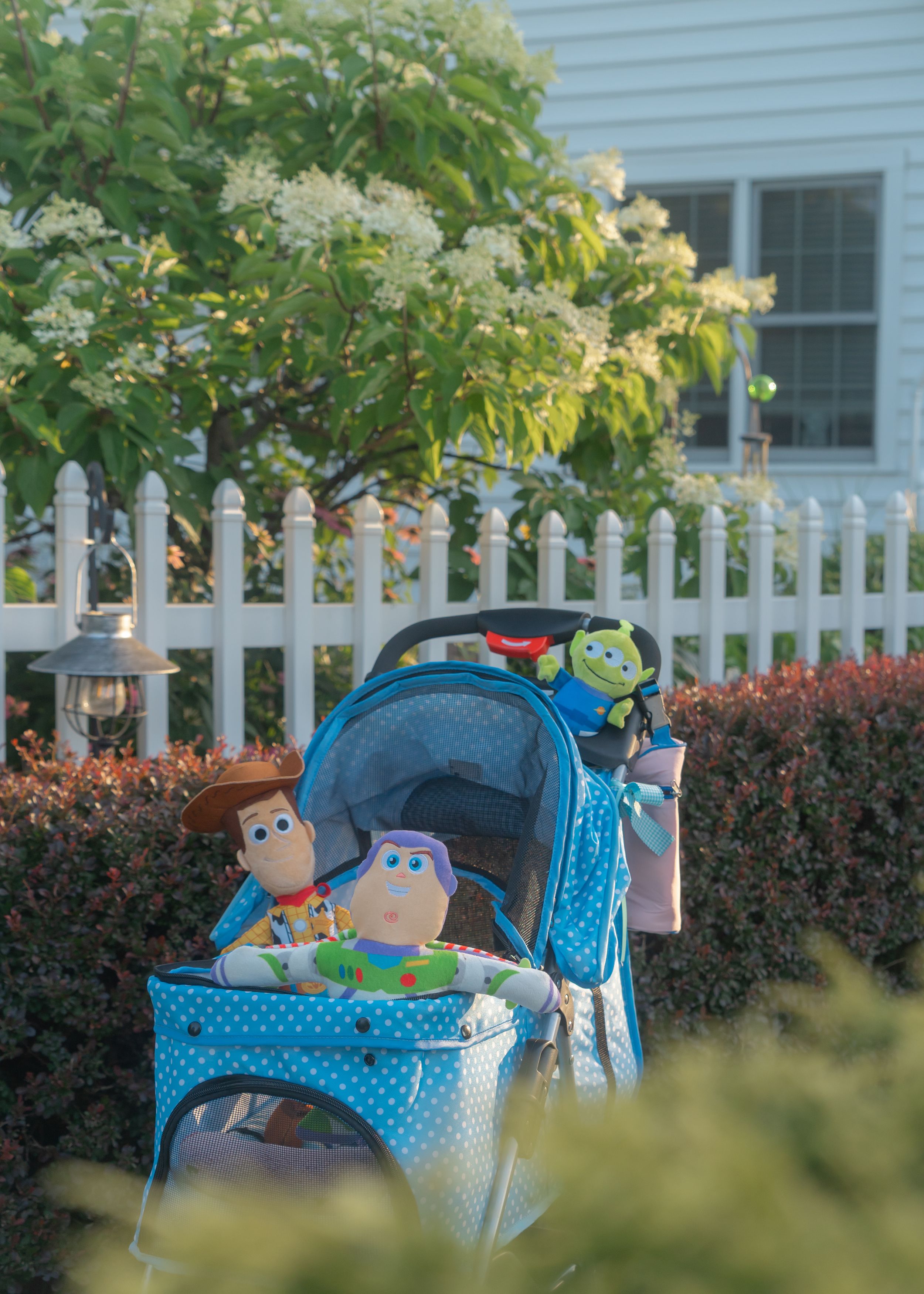 Blue Dog Stroller