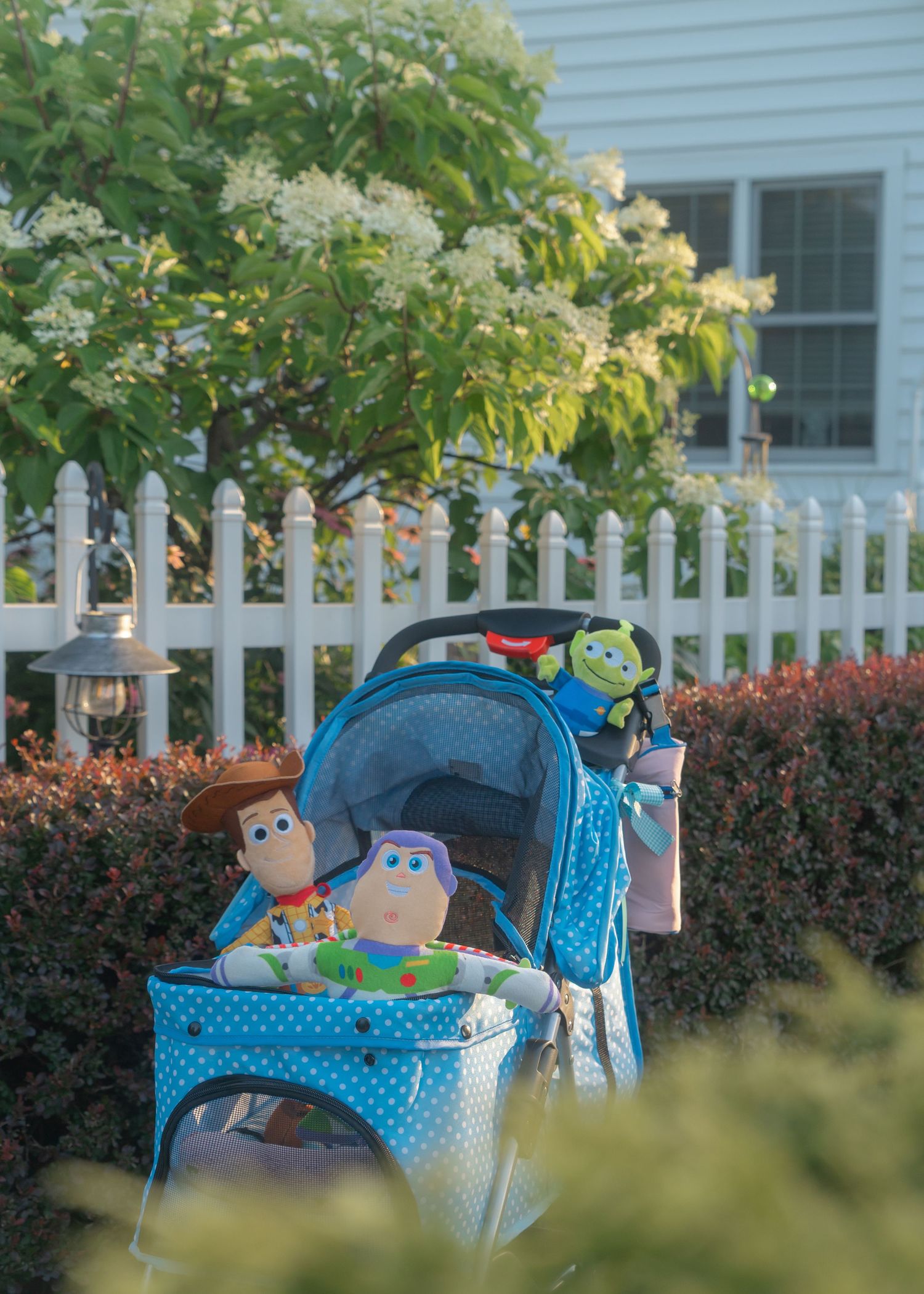 Blue Dog Stroller