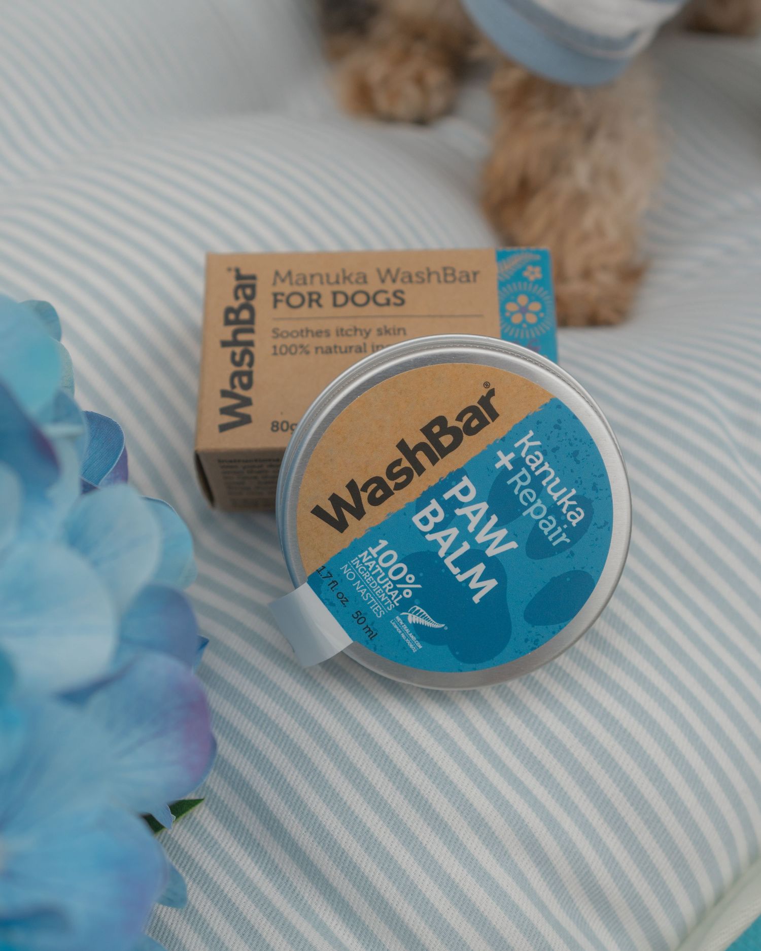 washbar paw balm