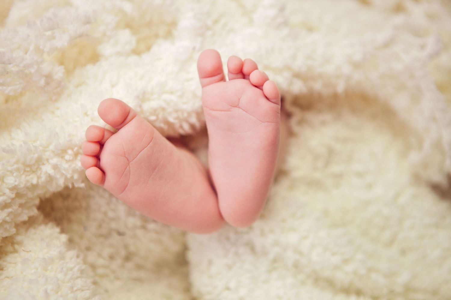 Close-up photo of tiny baby feet resting on soft white textured fabric.